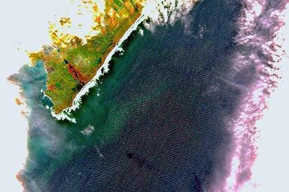 Академик РАН оценил версию Greenpeace о загрязнении на Камчатке