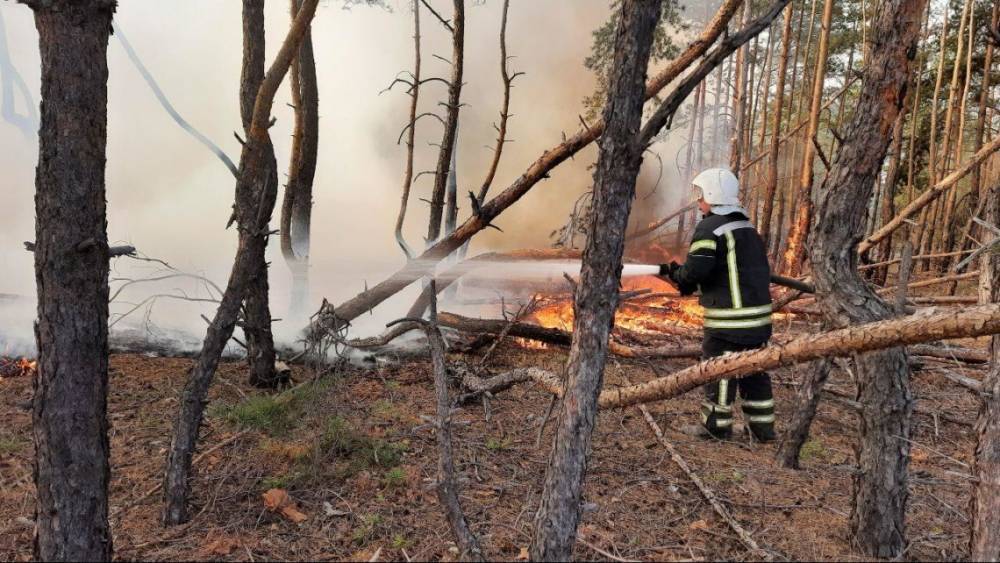 Пожары в Луганской области: ликвидировано уже восемь из десяти очагов