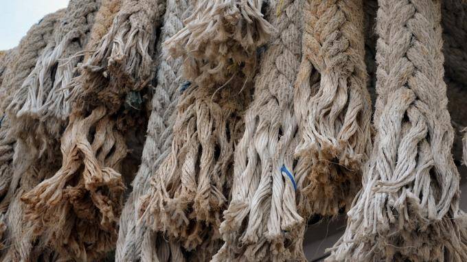 В порту Петербурга проверили почти 27 тонн сизаля из Бразилии