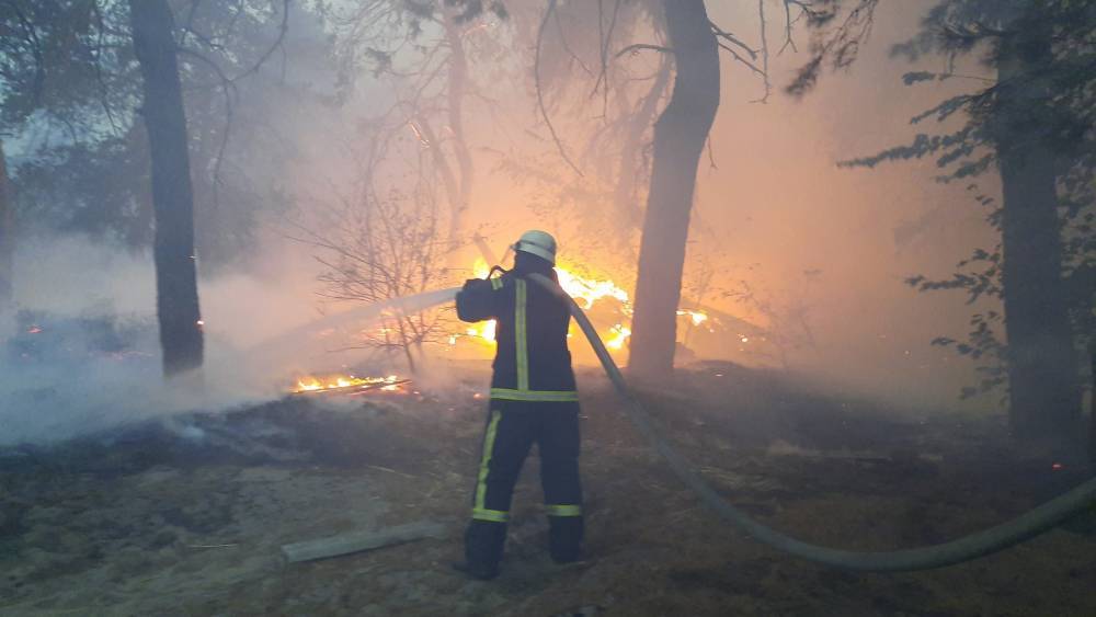 На Луганщине спасатели ликвидировали уже восемь очагов возгорания из десяти