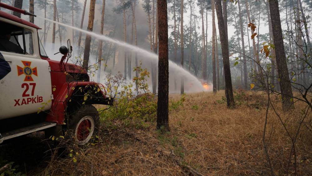 Полиция назвала четыре источника пожаров в Луганской области