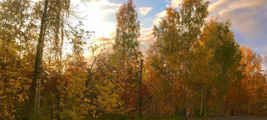 Теплая погода сохранится 7 октября в Карелии