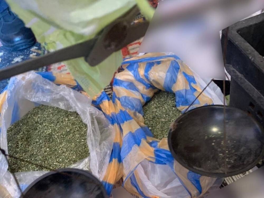 У жителя Бердянска изъяли марихуану на полмиллиона гривен