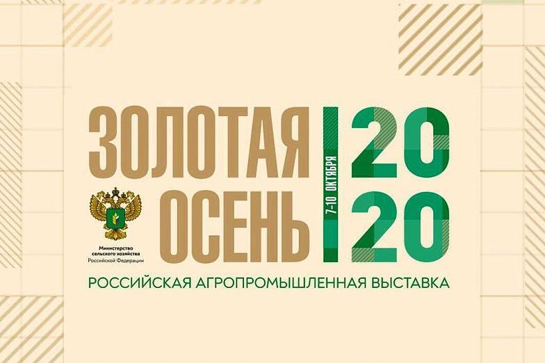 «Золотая осень-2020»: трехмерная экспозиция Ростовской области представит агропромышленные достижения региона