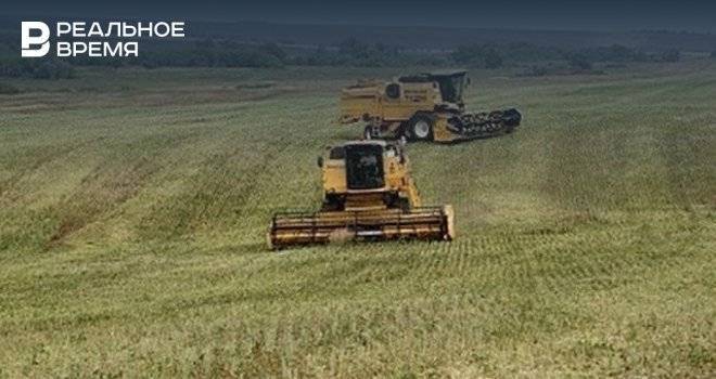 Россия в 16 раз нарастила экспорт сена в Европу: Татарстан в списке основных производителей