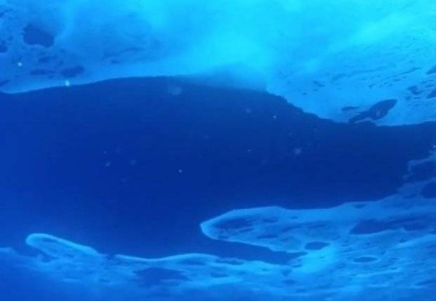 В загадочном озере подо льдом толщиной 4 км обнаружили уникальную находку