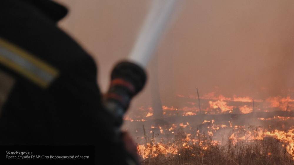 Минобороны задействовало танки для тушения пожара в Рязанской области