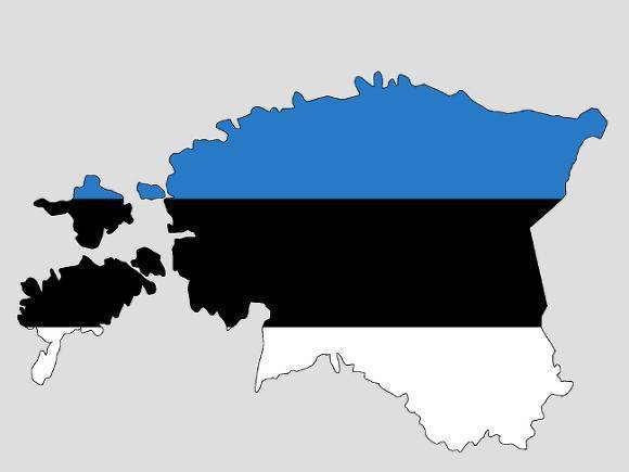 Эстония в знак протеста отозвала своего посла из Белоруссии