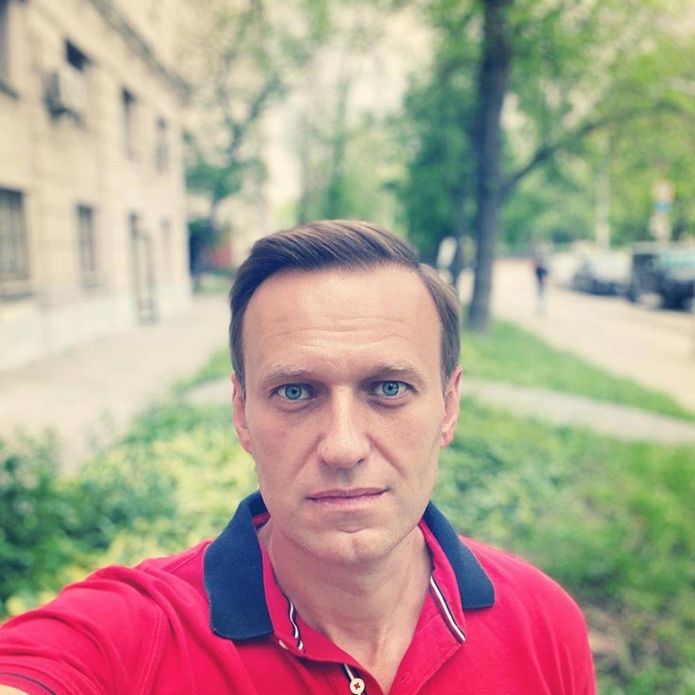 Журналист из Германии назвал "пустословием" заявление Алексея Навального об отравлении