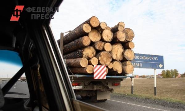 Новосибирские депутаты готовы к реализации задач по развитию лесной отрасли, поставленных президентом