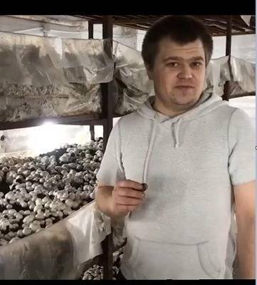 Полиция закрыла уголовное дело бизнесмена из Екатеринбурга — племянника депутата Зауралья