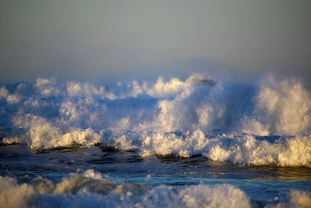 Власти Камчатки опубликовали данные проб из океана