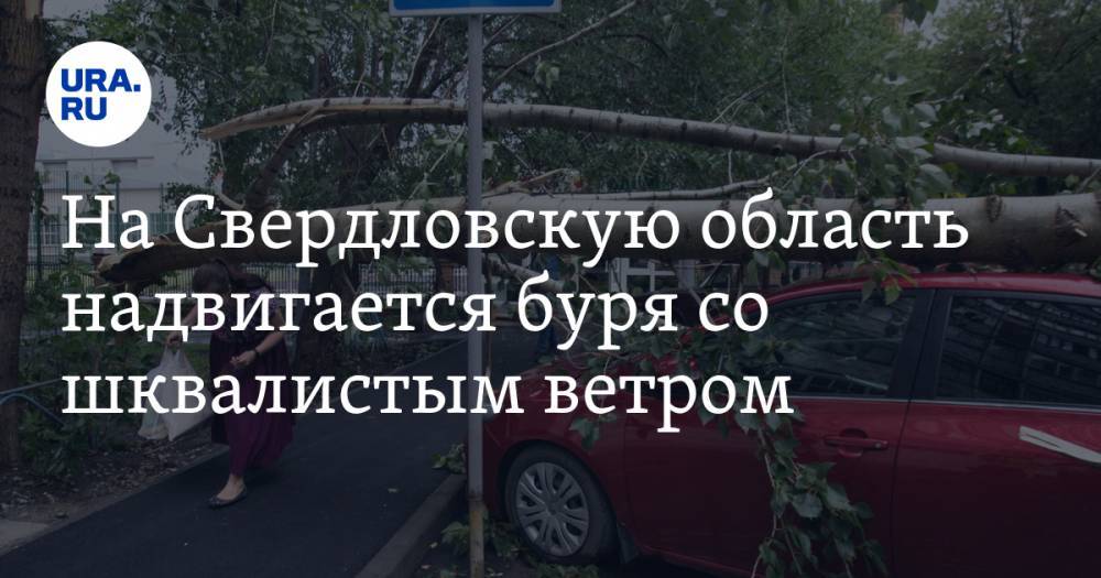 На Свердловскую область надвигается буря со шквалистым ветром. Предупреждение от МЧС