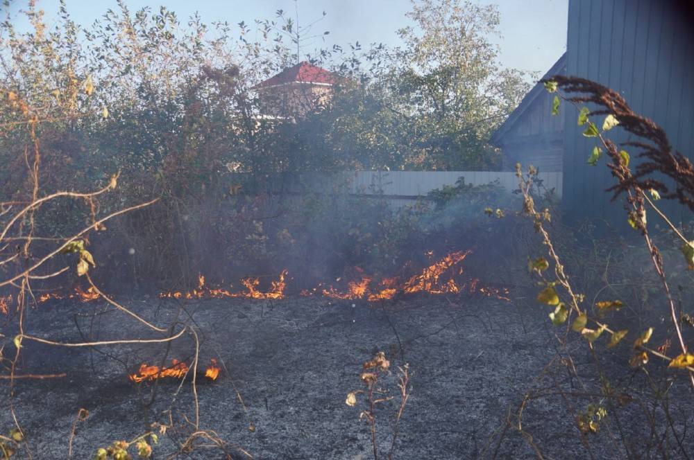 Огонь вплотную подобрался к домам одного из сел Липецкой области