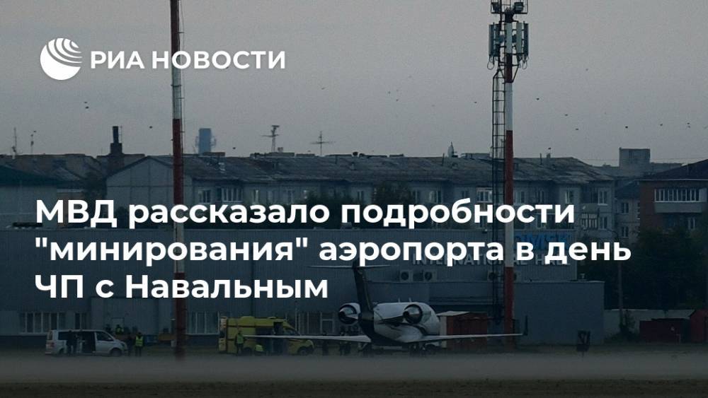 МВД рассказало подробности "минирования" аэропорта в день ЧП с Навальным