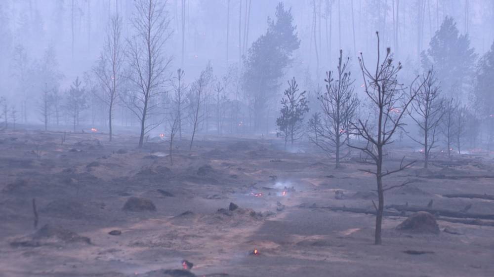 В Воронежской области ликвидировали два крупных пожара