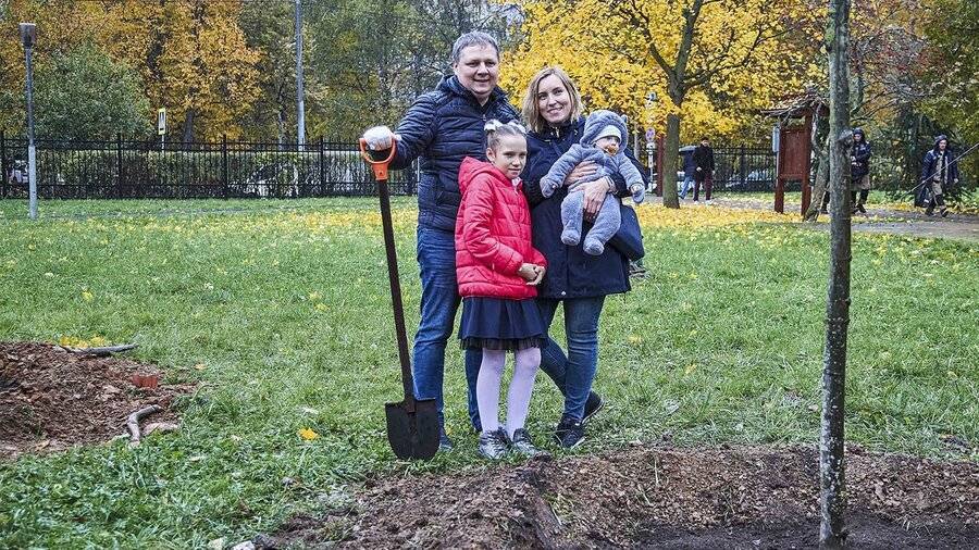 Москвичи подали более пяти тысяч заявок на участие в проекте "Наше дерево"