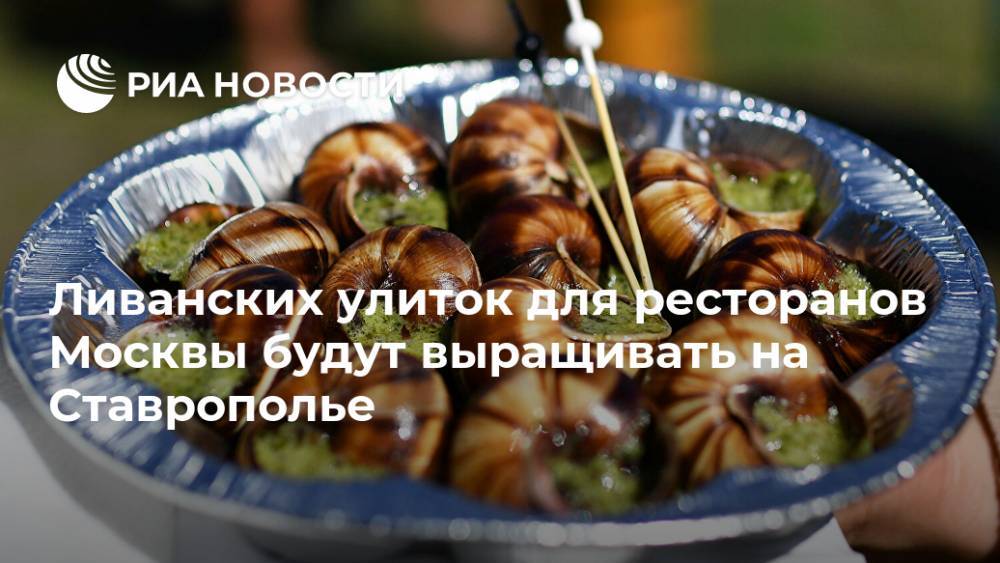 Ливанских улиток для ресторанов Москвы будут выращивать на Ставрополье