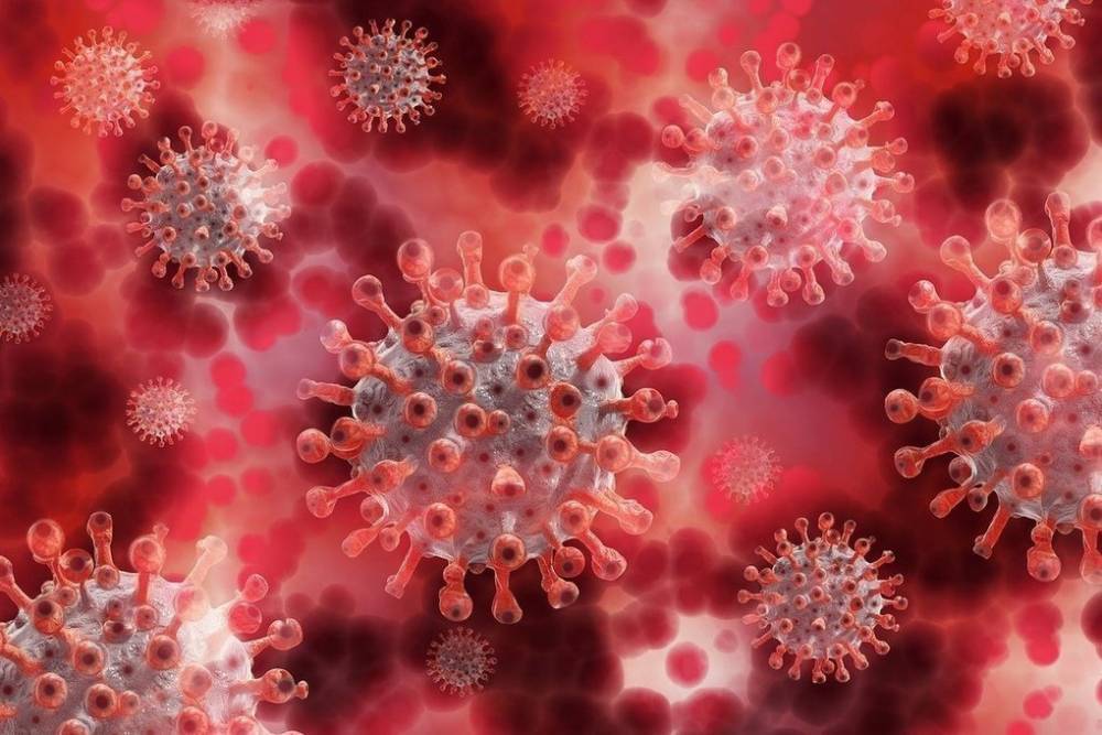 На Кубани снова выявили более 100 больных коронавирусом за день