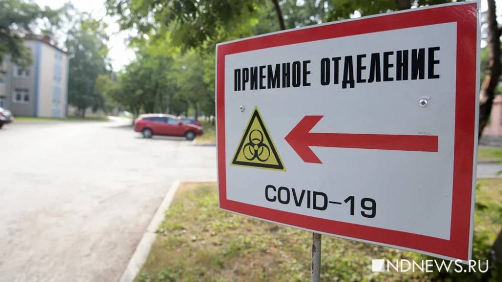 В России за сутки выявили рекордное количество заболевших коронавирусом