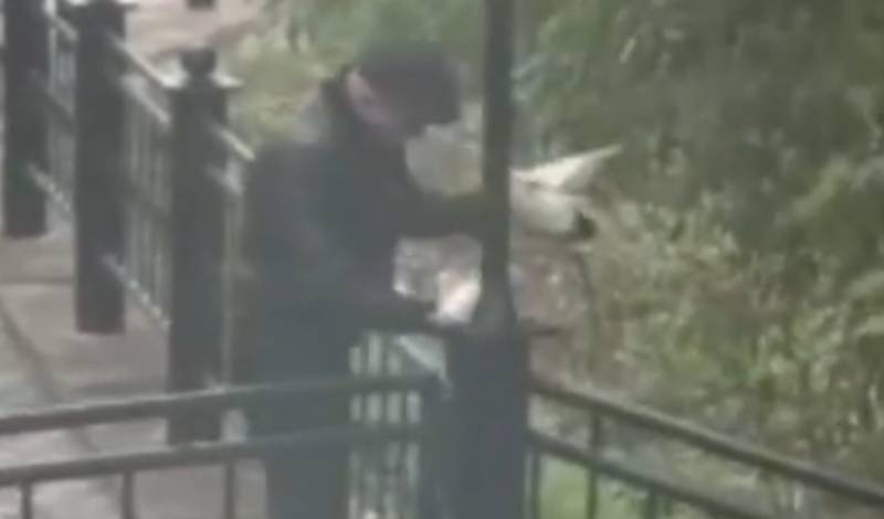 Тюменец незаконно охотится на уток в городском пруду. Видео