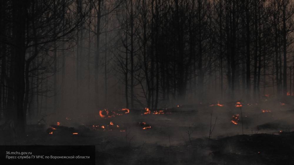 Жители Рязанской области возвращаются домой после эвакуации из-за пожара