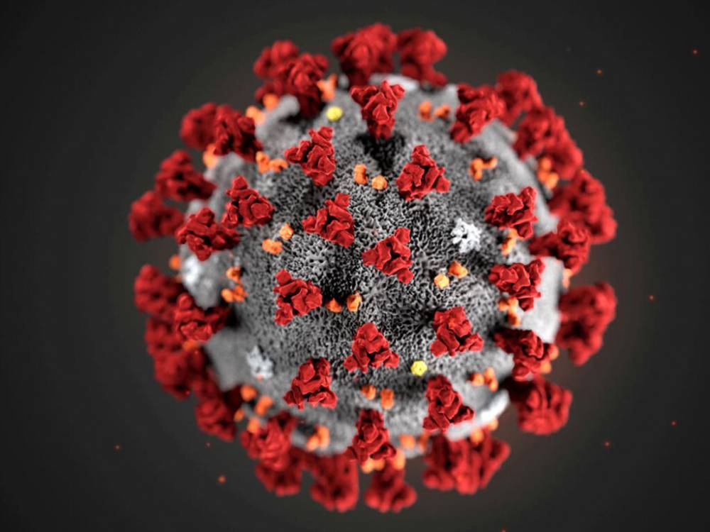 Датские ученые узнали новое о «слабых местах» коронавируса
