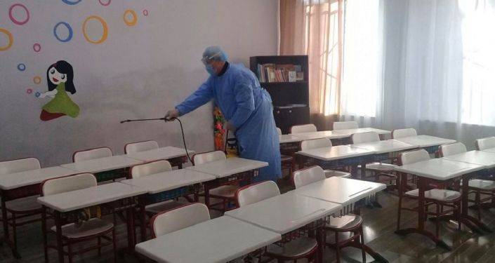 Эпидемиологи приступили к интенсивной работе в школах Грузии