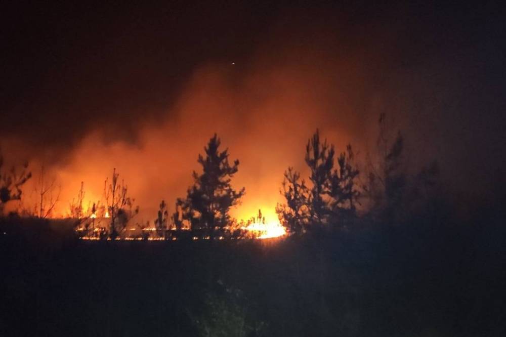 Харьковщина в огне: масштабные пожары показали с высоты птичьего полета, пугающие кадры