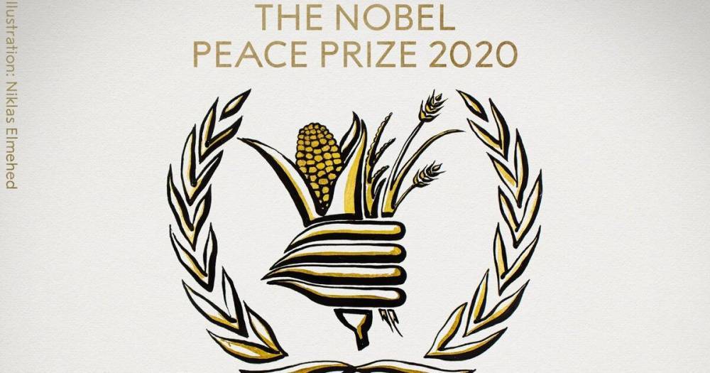 Нобелевскую премию мира получила программа ООН