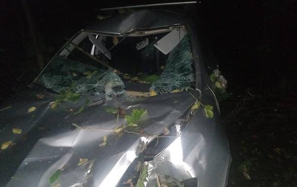 В Винницкой области дерево рухнуло на авто, есть жертвы