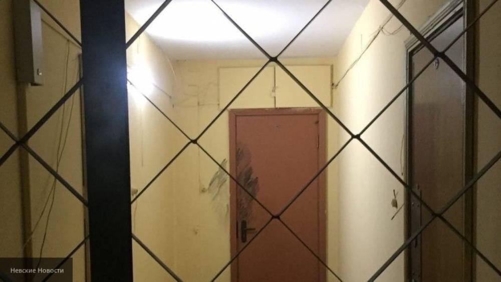 Появились фото "меченой" двери квартиры задушенной пенсионерки в Петербурге