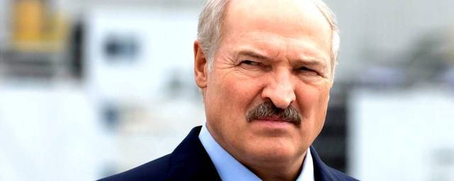 Лукашенко предложил полякам заняться собственными выборами