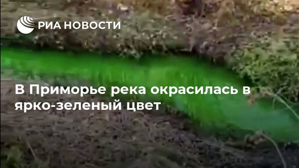 В Приморье река окрасилась в ярко-зеленый цвет