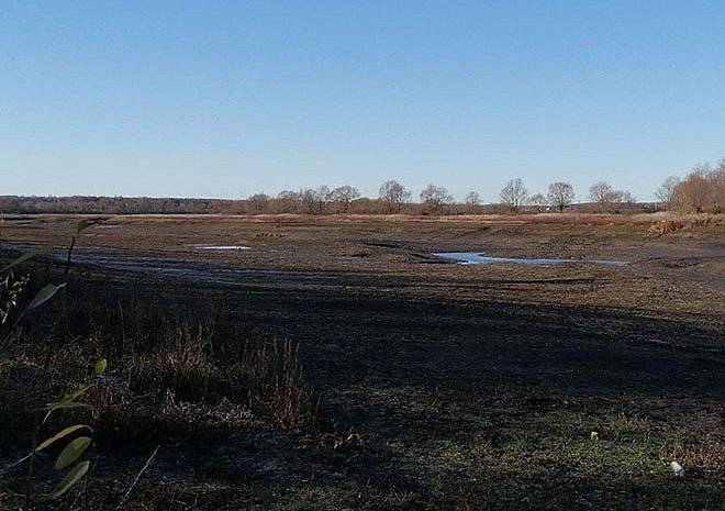 СМИ сообщили об исчезновении пруда в Рязанской области