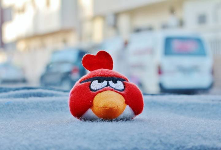 Россиянин заплатил почти 4 млн рублей за «паленые» игрушки Angry Birds