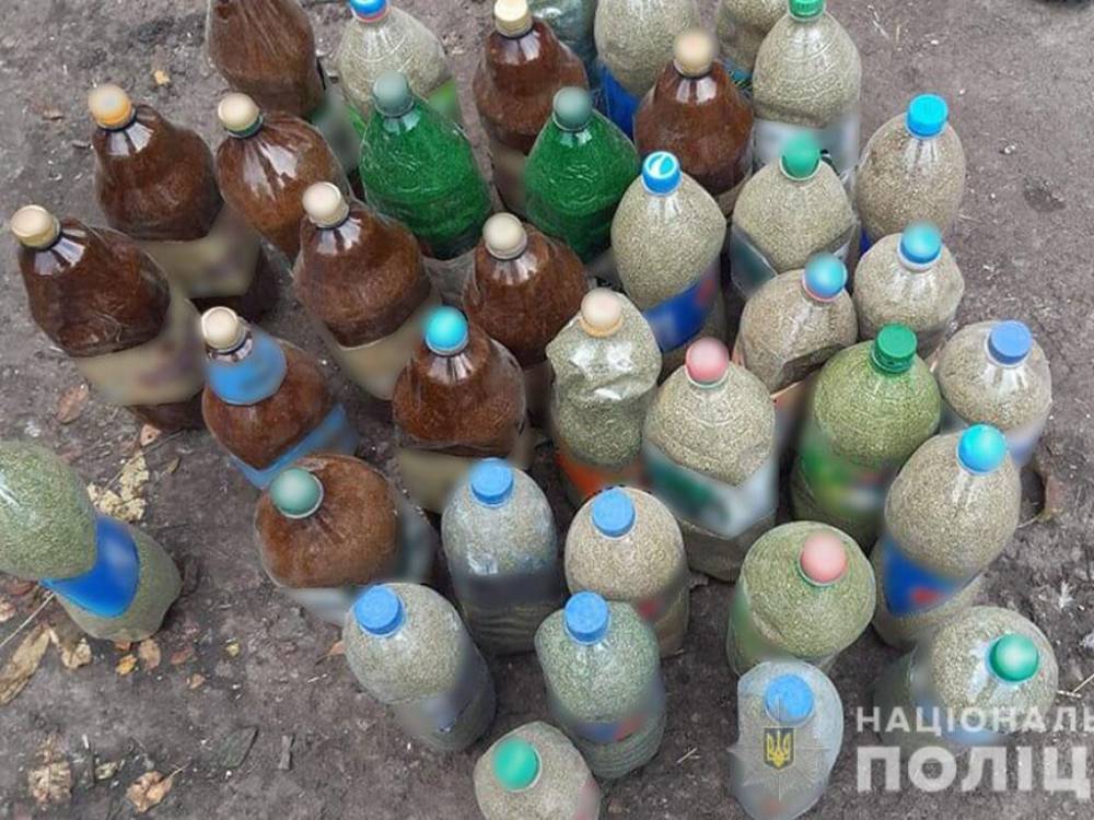 В лесу на Харькощине 38-летний мужчина вырастил марихуаны на 300 тысяч гривен