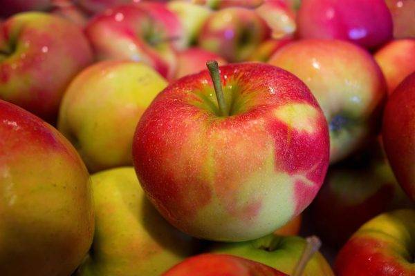 На ярмарках выходного дня рязанцы купили 5 тонн яблок и груш