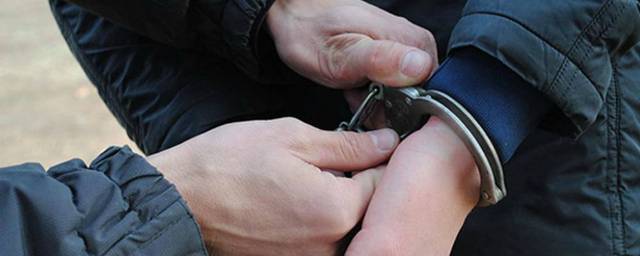 В Рязани полицейские задержали мужчину, ограбившего магазин