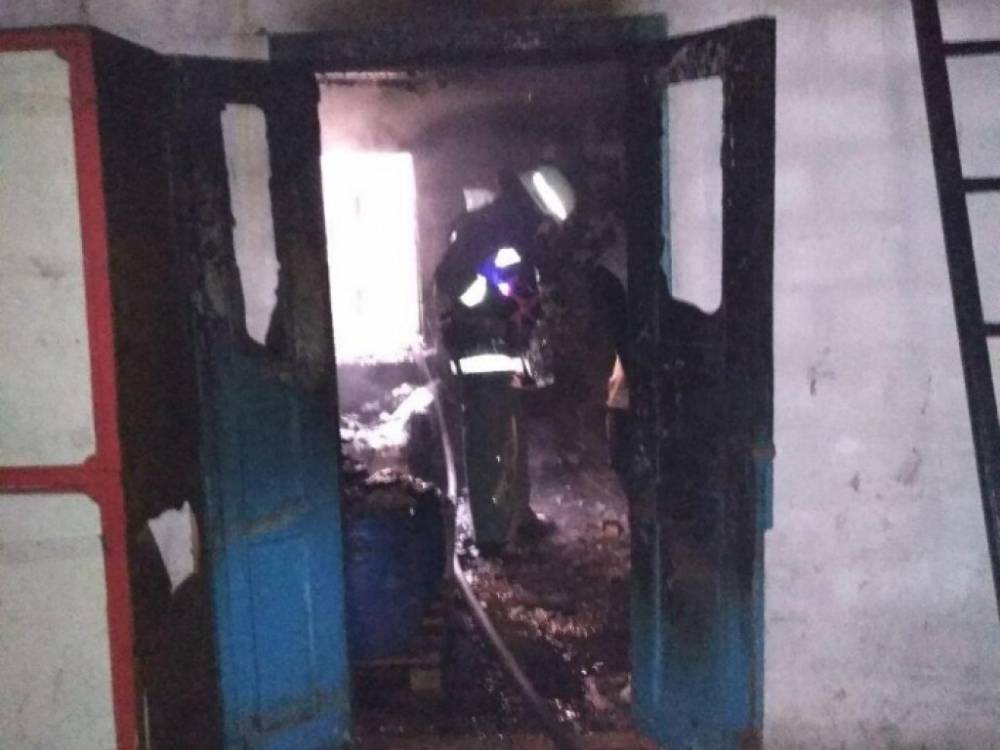 В Запорожье бойцы ГСЧС ликвидировали пожар на территории частного предприятия