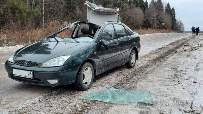 Два человека пострадали в ДТП с лосем в Грязовецком районе Вологодской области