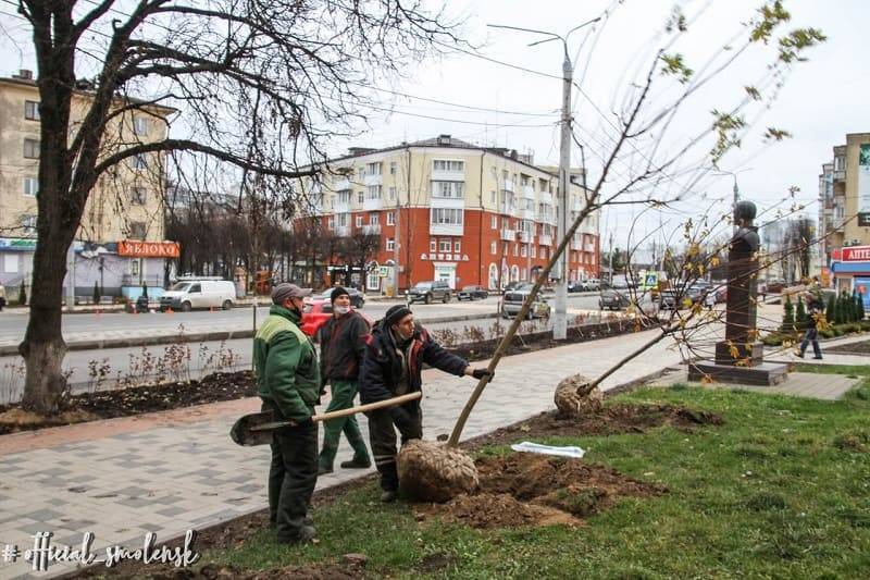 В Смоленске завершилось озеленение ул. Николаева