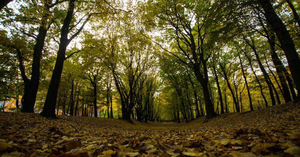 Минприроды предложило создать в Краснолесье национальный парк