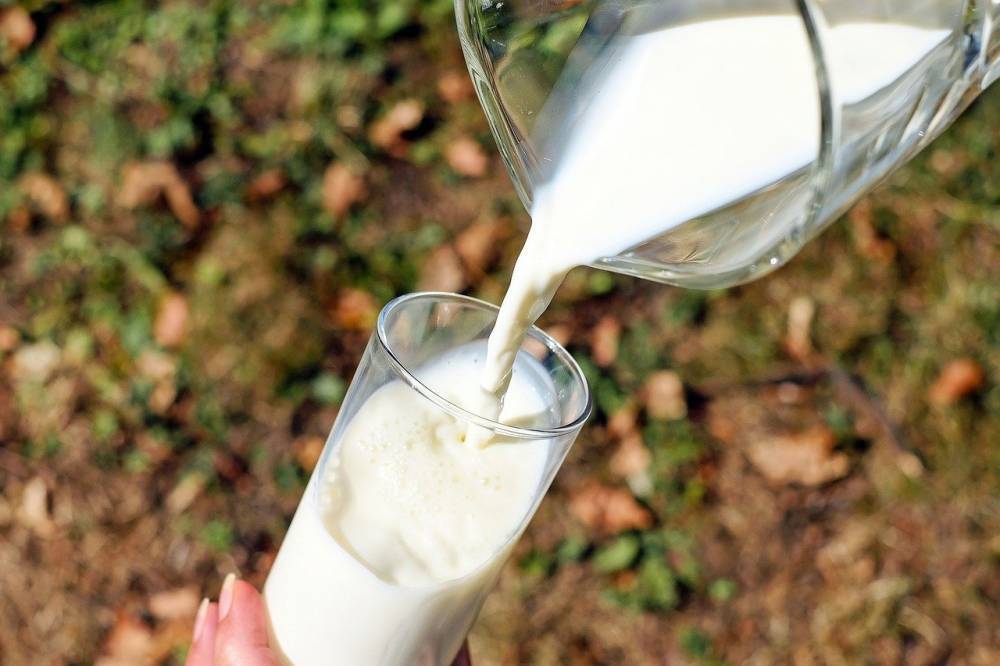 За 10 месяцев 2020 года в Рязанской области получено 432 000 тонн молока