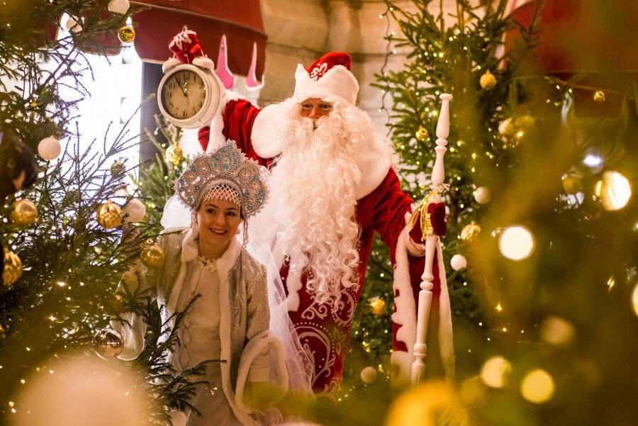 Милонов предложил запретить заказывать Деда Мороза на дом из-за COVID-19