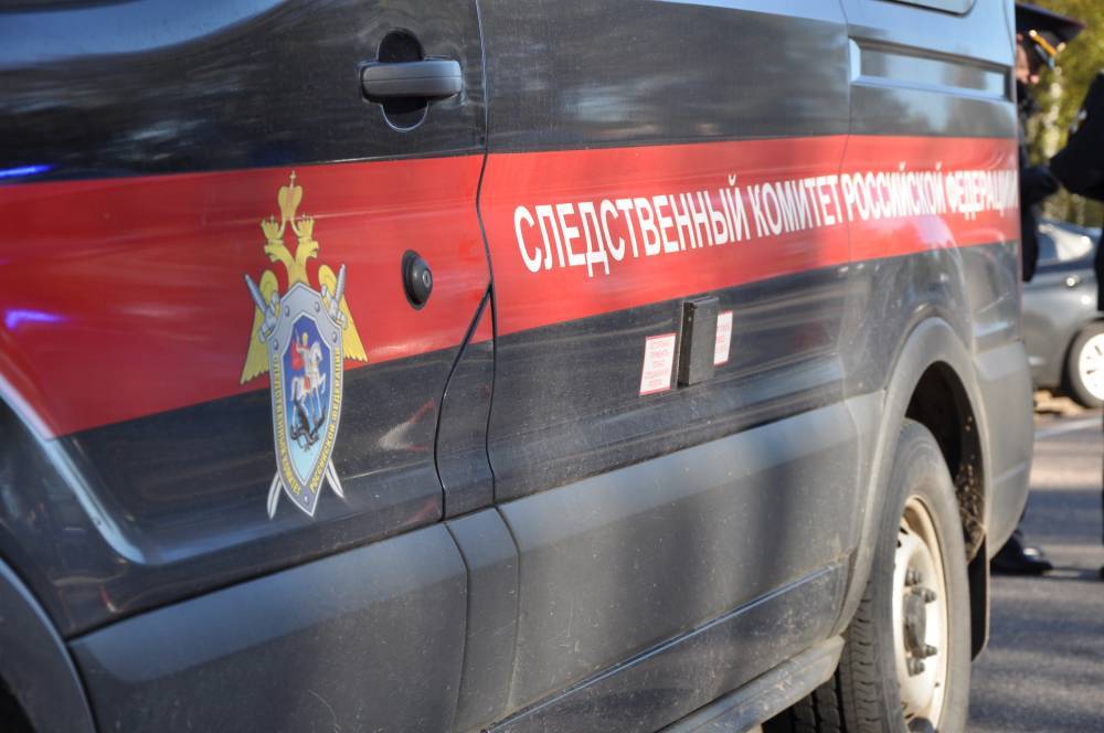 В Тверской области 15-летний подросток с приятелем ограбили прохожего