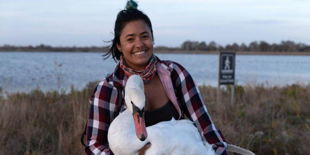 История дня: В Нью-Йорке женщина спасла лебедя. Она преодолела почти 40 километров пешком, на машине и в метро