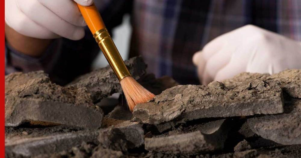 Археологи сделали находку, которая «расскажет» о развитии Китая