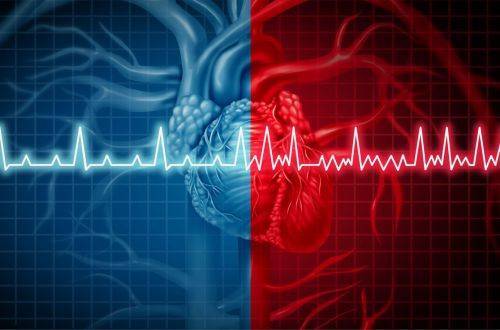 Медики подсказали, с помощью каких продуктов можно укрепить сердце и сосуды
