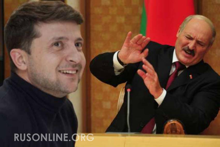 «Корова мычала»: Лукашенко грубо ответил Зеленскому на хамство (ВИДЕО)